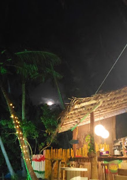 Turtle Bar & Restaurant