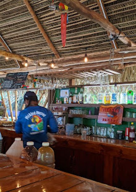 Pickled Parrot