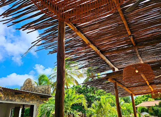 curacao/christoffel-national-park/bar/hofi-mango-bar