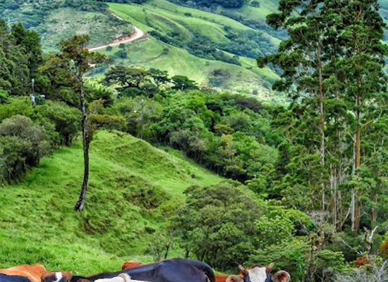 costa-rica/tilaran-range/bar/bar-tilawa