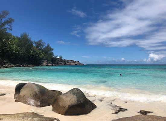 seychelles/ile-de-l-est/bar/summer-bar