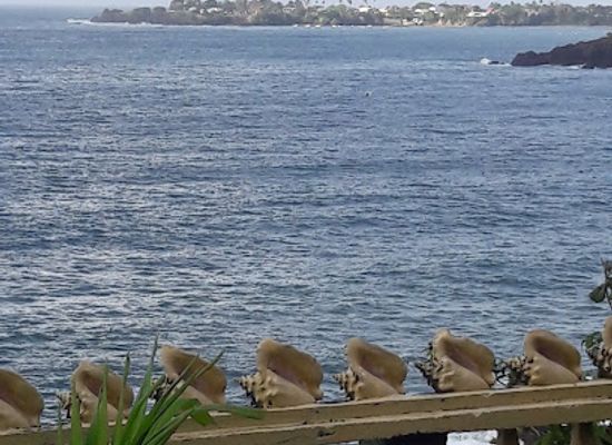 trinidad-and-tobago/nylon-pool/bar/moon-over-water