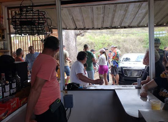 puerto-rico/rincon/bar/el-mango-bar