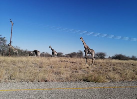 botswana/makgadikgadi-pans-national-park/bar/makgadikgadi-pans-national-park