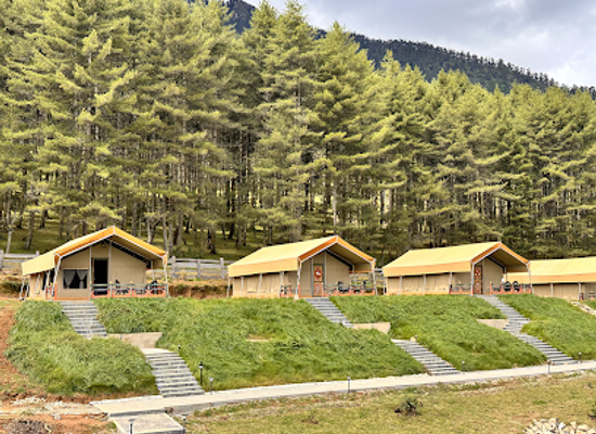 bhutan/phobjikha-valley/bar/gangtey-tent-resort