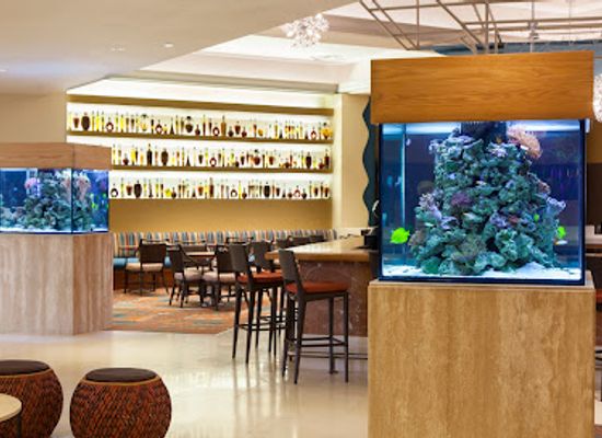 puerto-rico/greater-antilles/bar/picante-lobby-lounge