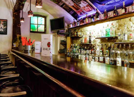 czechia/plzen/bar/forestbar