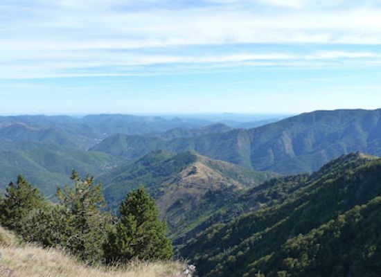 france/cévennes-national-park/bar/gr-66-tour-du-mont-aigoual-parc-national-des-cevennes