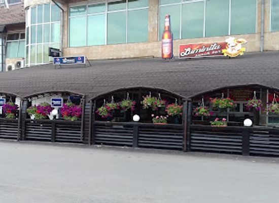 romania/targu-jiu/bar/terasa-luminita