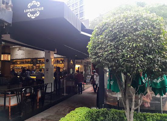 mexico/trans-mexican-volcanic-belt/bar/limantour-polanco