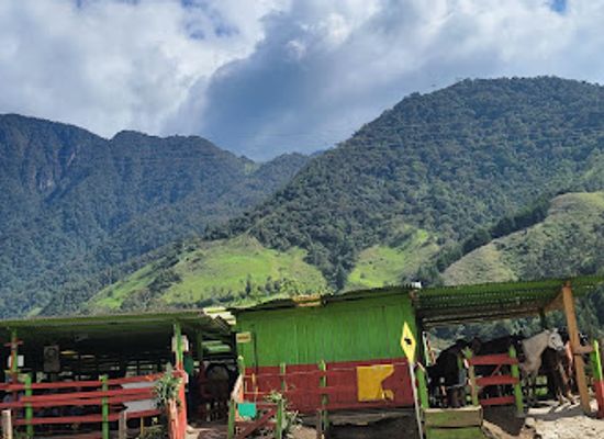 colombia/cocora-valley/bar/picnic