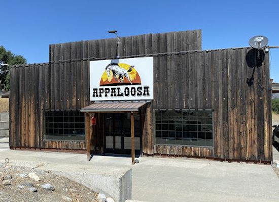 washington/the-okanogan/bar/appaloosa