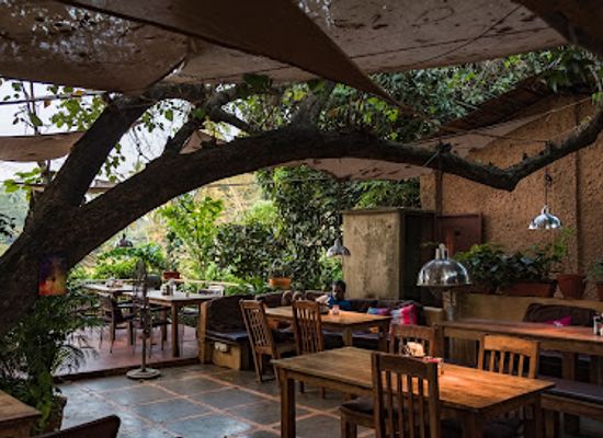 india/northern-plains/bar/baba-au-rhum-anjuna