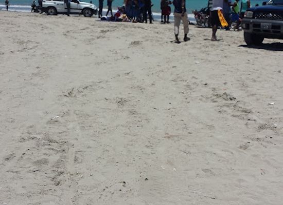 haiti/sud/bar/gelee-cayes