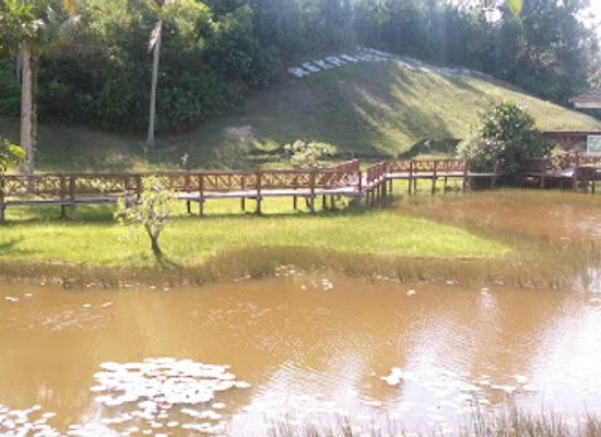 brunei/tutong-district/bar/sungai-basong-recreational-park