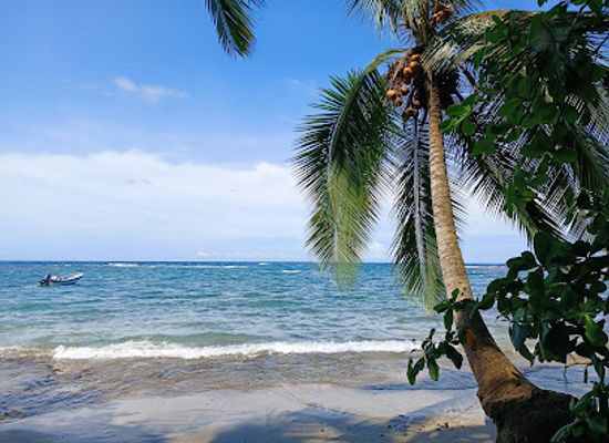 costa-rica/caribbean-coast/bar/tamara