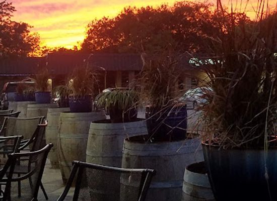 texas/waco/bar/the-blue-dog-wine-and-martini-bar