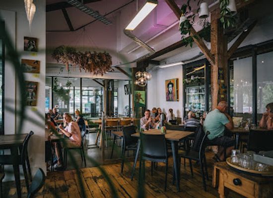 new-zealand/manawatu-wanganui/bar/mud-ducks