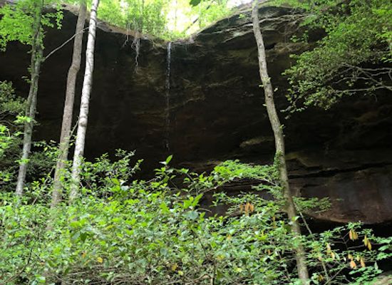 alabama/sipsey-wilderness/bar/sipsey-river-picnic-area