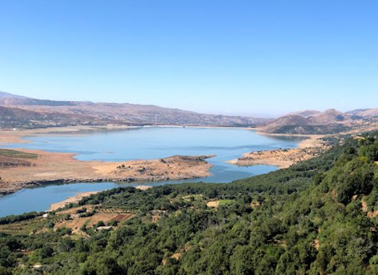 lebanon/nabatieh/bar/seven-seas-cuisine