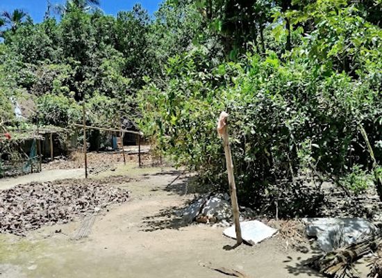 bangladesh/tanguar-haor/bar/rahad-home