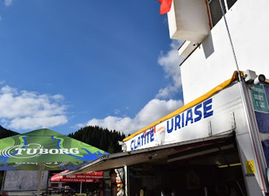 romania/bucegi-mountains/bar/clatite-uriase-padina