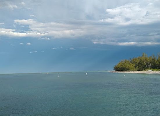 the-bahamas/andros-town/bar/thousand-fathoms-club