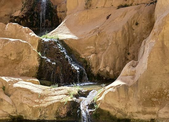 jordan/al-karak-plateau/bar/wadi-al-karak