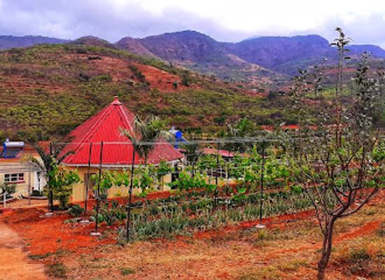zimbabwe/lowveld/bar/blue-moon-bar
