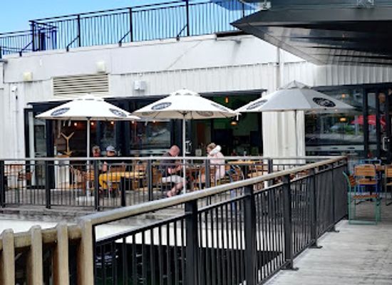 new-zealand/auckland/devonport/bar/the-kestrel