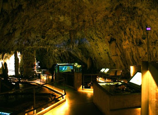 slovenia/postojna-cave/bar/jamski-dvorec