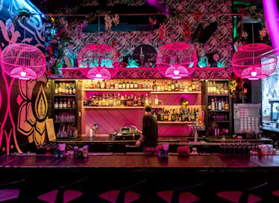 michigan/detroit/bar/the-skip