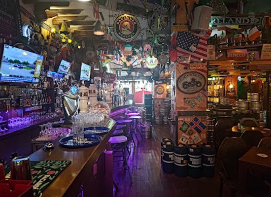 albania/puka-region/bar/meduza-irish-pub