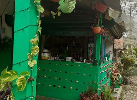 nepal/chitwan-national-park/bar/friday-cottage-restaurant-and-lodge