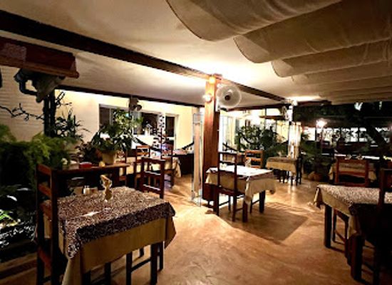 gabon/mayombe-forest/bar/l-odika
