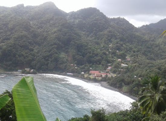 dominica/saint-john/bar/griff-s-rum-shop
