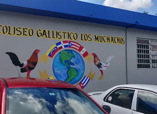 puerto-rico/arecibo-region/bar/gallera-los-muchachos