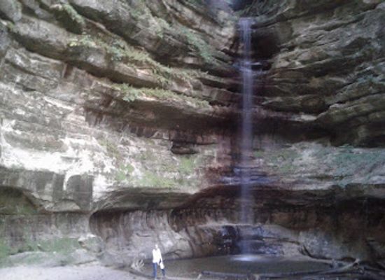 illinois/starved-rock-state-park/bar/skoog-s-pub-grill