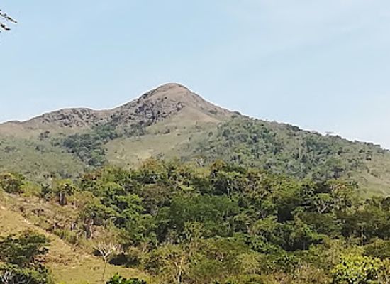 panama/ngabe-bugle-comarca/bar/la-gallotera-rainforest-bar