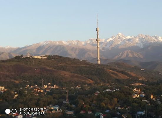 kazakhstan/almaty-mountains/bar/barfly