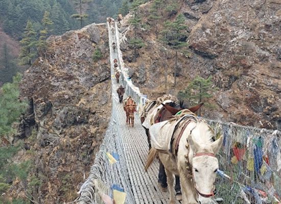 nepal/kanchenjunga-base-camp/bar/everest-base-camp