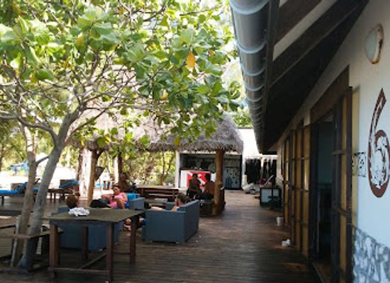 french-polynesia/rangiroa/bar/the-six-passengers