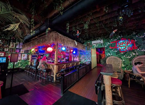 california/northern-california/bar/the-jungle-bird