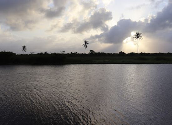 guyana/demerara-mahaica/bar/dat-s-beer-garden-and-restaurant