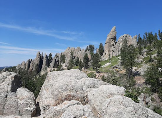 south-dakota/needles-highway/bar/needles-highway