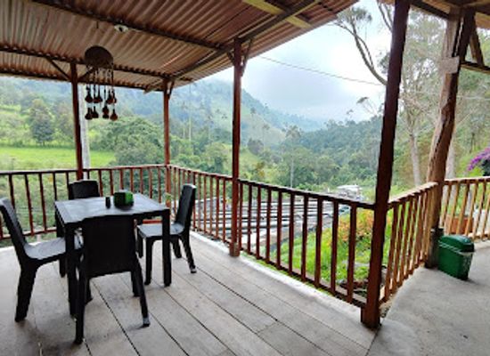 colombia/cocora-valley/bar/truchas-cocora