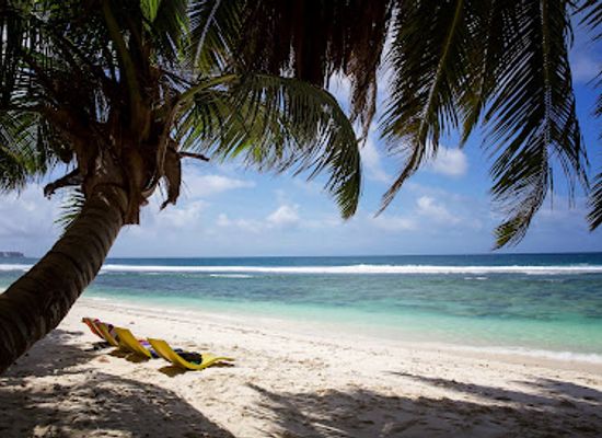 seychelles/ile-d-aurore/bar/surfers-beach-restaurant