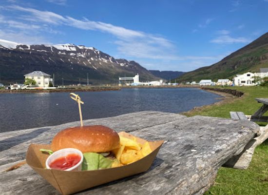 iceland/east-fjords/bar/fancy-sheep
