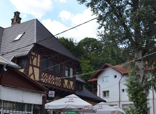 romania/bucegi-mountains/bar/bar-33