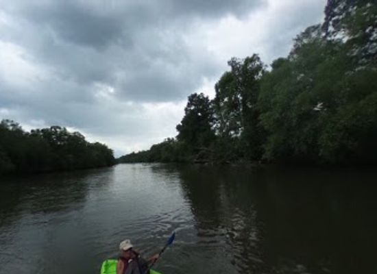 tennessee/french-broad-river-valley/bar/french-broad-river